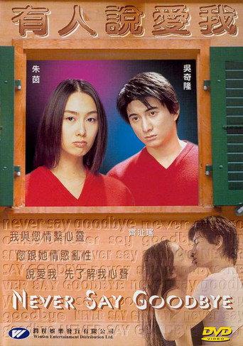 Never Say Goodbye (2001) poster