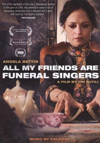 All My Friends Are Funeral Singers (2010) poster