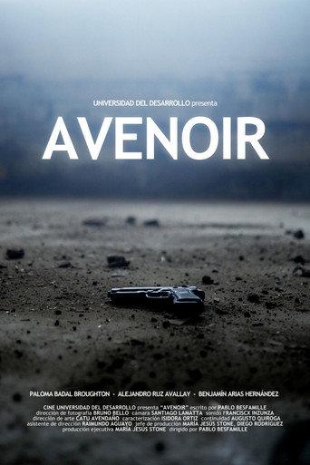 Avenoir () poster