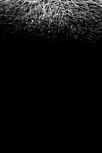 For When I Think, There is This Heaviness That I Would Rather You Not Carry (2025) poster