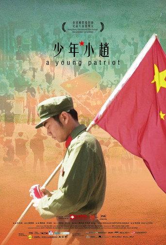 A Young Patriot (2015) poster