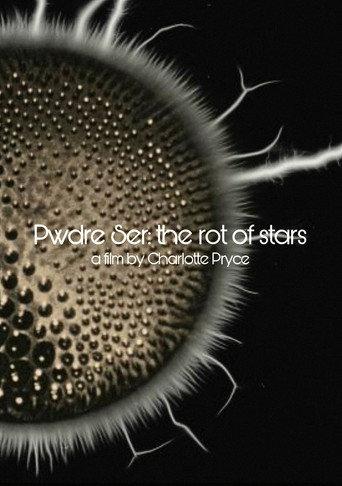 Pwdre Ser: the rot of stars (2018) poster