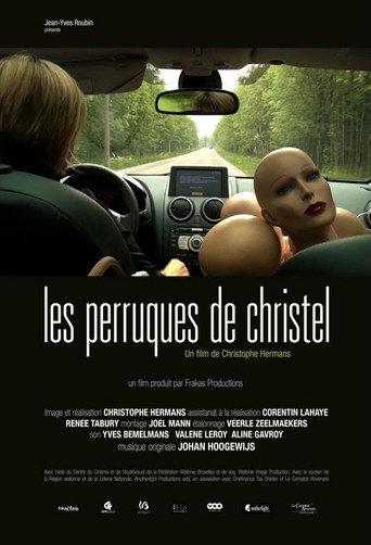 Les Perruques de Christel (2013) poster