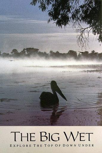 The Big Wet (1993) poster