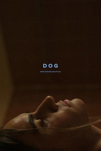 Dog (2024) poster