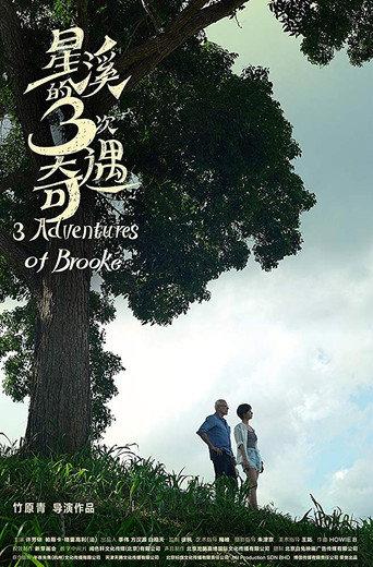 Three Adventures of Brooke (2019) poster