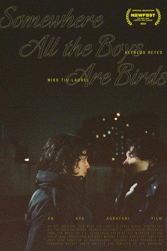 Somewhere all the boys are birds (2023) poster