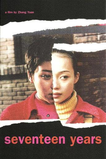 Seventeen Years (1999) poster
