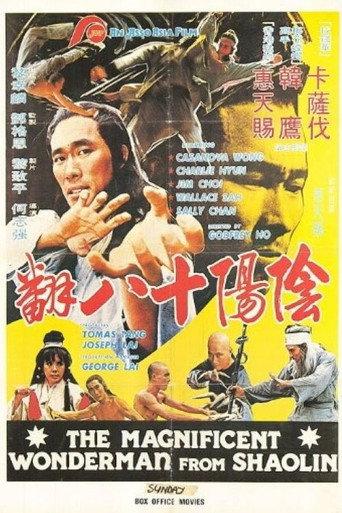 Magnificent Wonderman (1980) poster