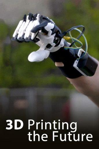 3D - Printing the future (2017) poster