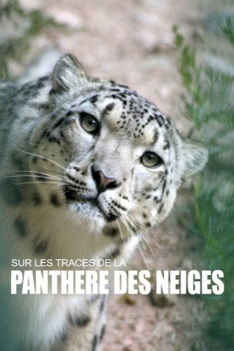 Sur les traces de la panthère des neiges (2018) poster