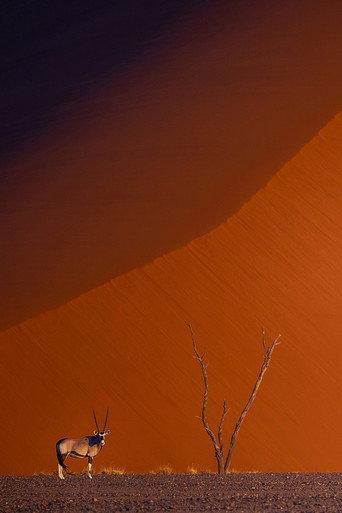 Namibie : exceptionnelle par nature (2026) poster