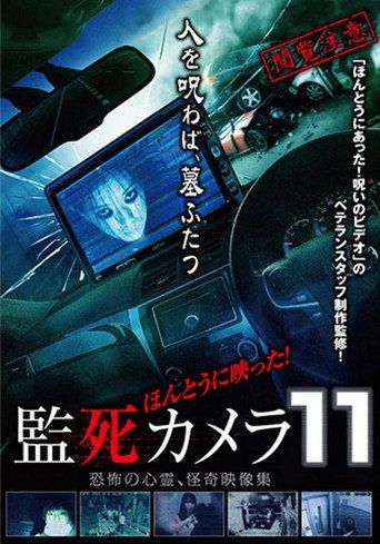 Paranormal Surveillance Camera 11 (2015) poster