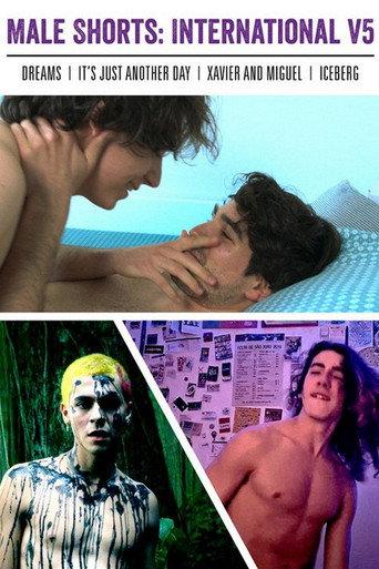 Male Shorts: International V5 (2023) poster