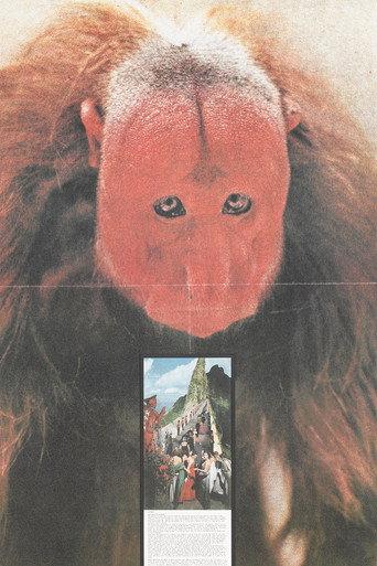 Gli atti fondamentali. Cerimonia (1973) poster