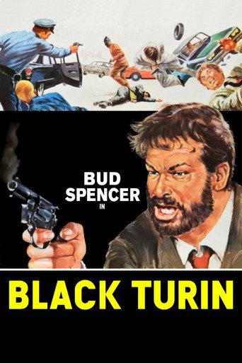 Black Turin (1972) poster