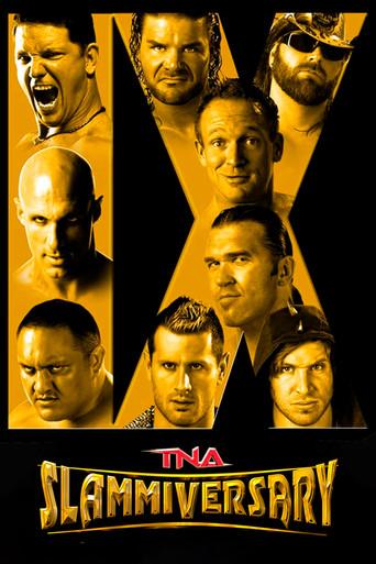 TNA Slammiversary IX (2011) poster