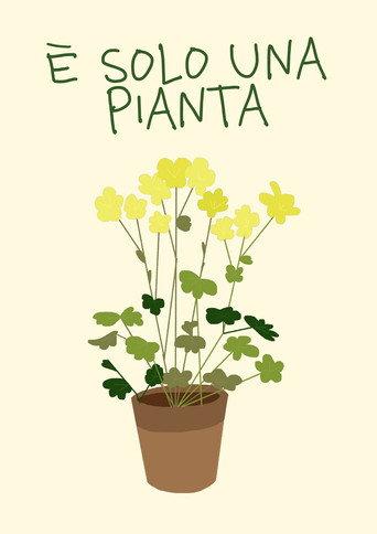 È solo una pianta (2026) poster