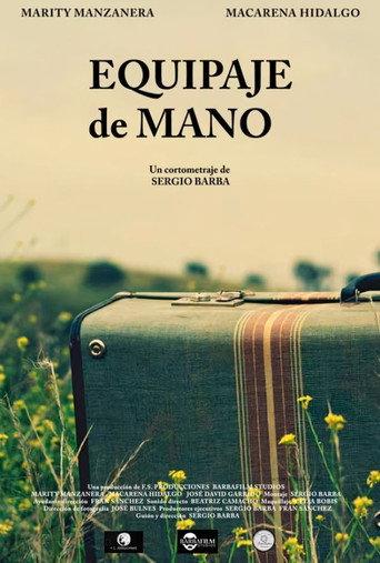 Hand Luggage (2020) poster