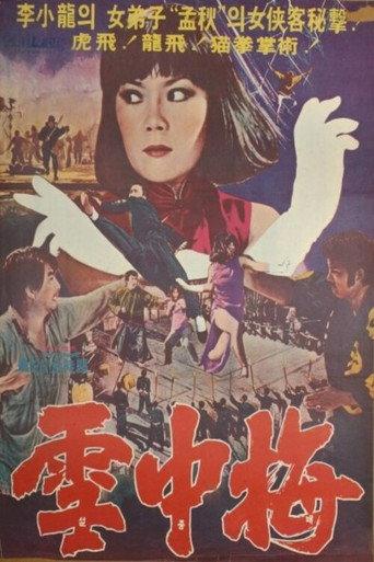Snow Plum Blossom (1976) poster
