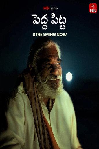 Pedda Pitta (2026) poster