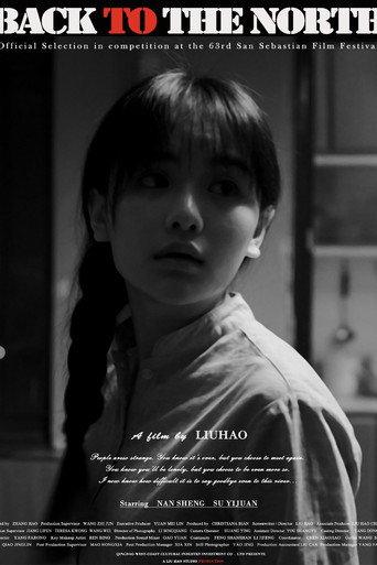 Back to the North (2015) poster