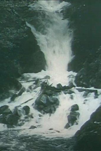 Through the Alb Valley to Sankt Blasien (1911) poster