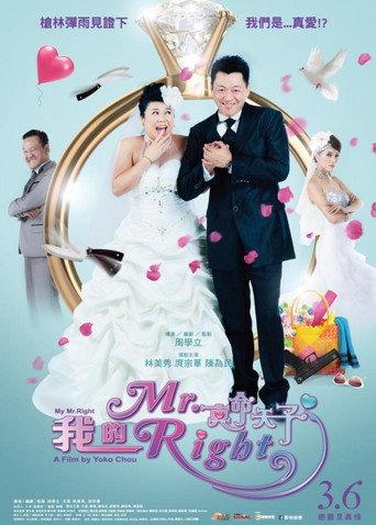 我的Mr. Right (2015) poster