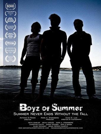 Boyz of Summer () poster