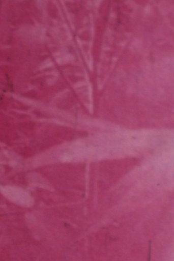 Ornamentals (1979) poster