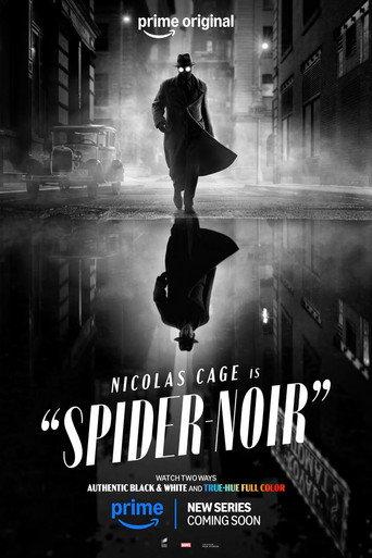 Spider-Noir () poster