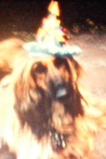 Ron Amok (Dog Party) (1977) poster