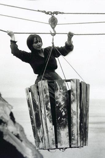 The Girl from Whitley (1916) poster