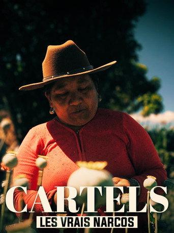 Les vrais Narcos (2020) poster