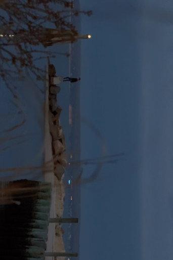 A walk in a straight line () poster
