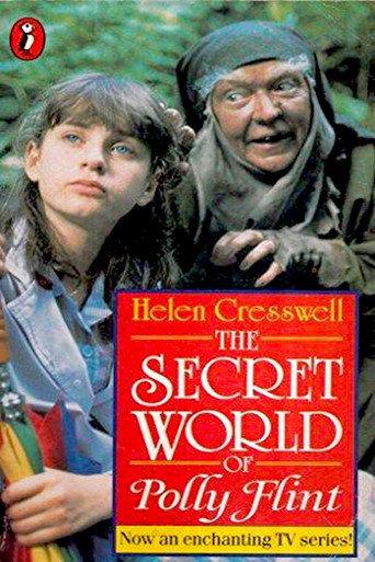 The Secret World of Polly Flint (1987) poster
