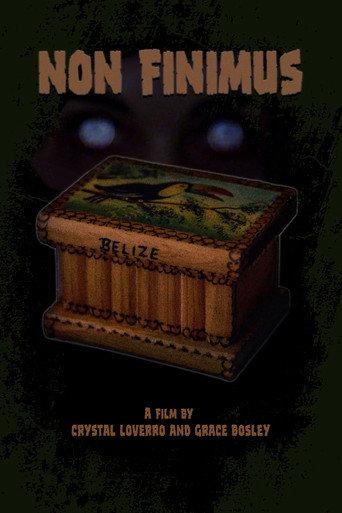 Non Finimus () poster