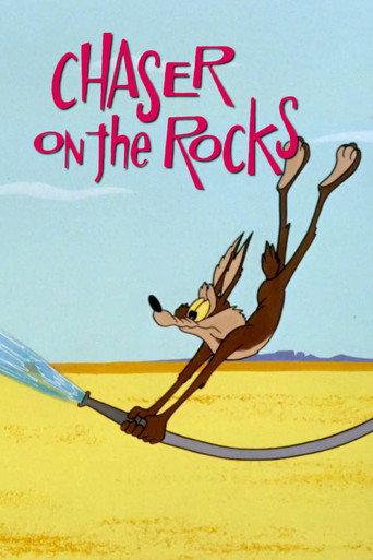 Chaser on the Rocks (1965) poster