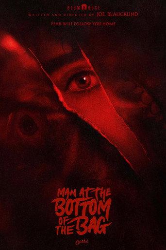 Man at the Bottom of the Bag (2026) poster