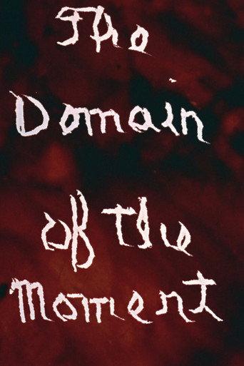 The Domain of the Moment (1977) poster