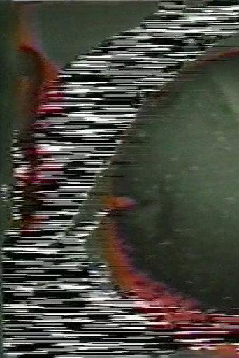 Soundgated Images (1974) poster
