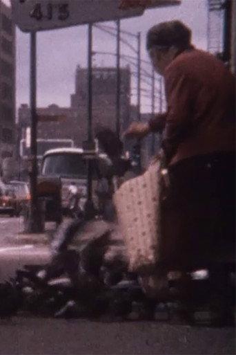 Pigeon Lady (1966) poster