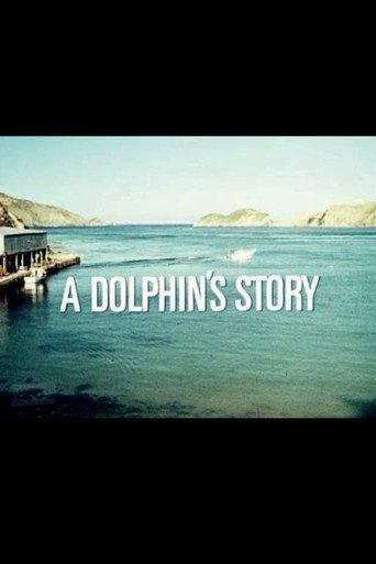 A Dolphin's Story (1974) poster