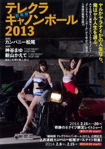 The Sex Cannon Ball Run 2013 (2014) poster