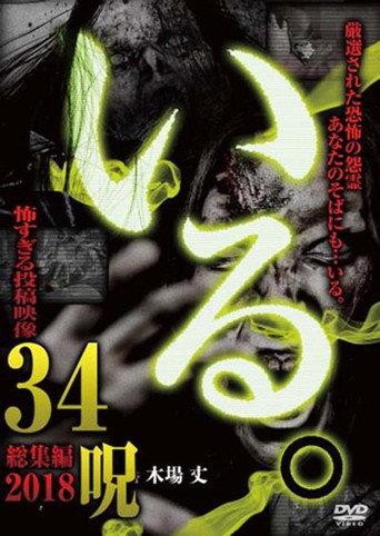 「Iru.」Sōshūhen ~ 2018 Kowasugiru Tōkō Eizō 34 Noroi ~ (2018) poster