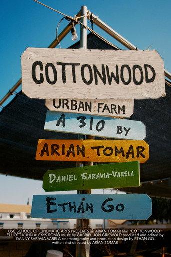 Cottonwood () poster
