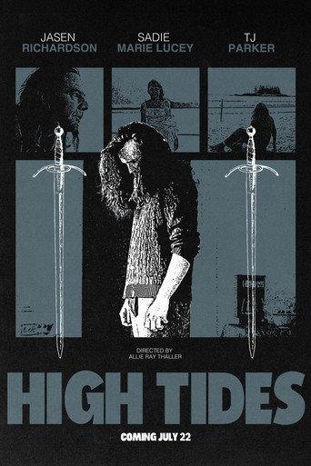 High Tides () poster