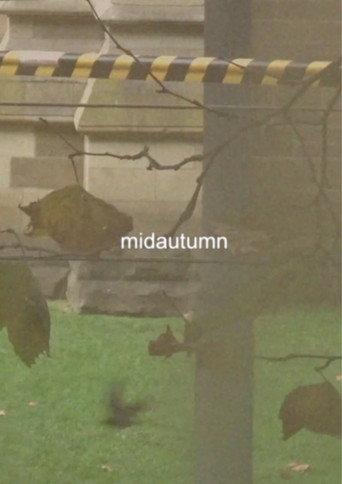 midautumn (2024) poster