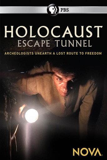 Holocaust Escape Tunnel (2017) poster