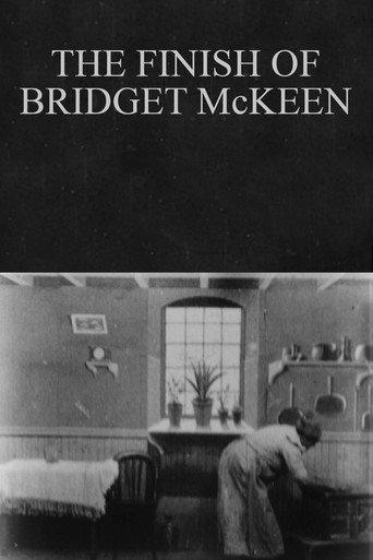 The Finish of Bridget McKeen (1901) poster